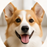 品種犬貓