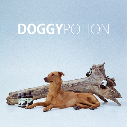 DOGGYPOTION 頂級皮毛養護品牌