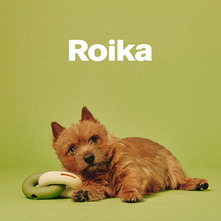 韓國 Roika 寵物美學用品品牌