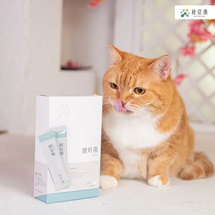 紐促康 Nuforcare 寵物保健營養品｜實品情境照